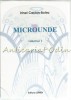 Microunde I - Proiectare Circuite, Irinel Casian-Botez, Lumen Iasi 2006, Fizica, 118 pg