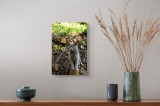 Tablou Canvas, "Pisică gri &icirc;n pădurea &icirc;nsorită", Pisică, Gri, Ochii-Maronii, Pădure, Natură, Curiozitate, Postură, Blană-Moale, Lumina, Fundal-Verde.,