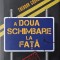 A doua schimbare la fata - Theodor Codreanu