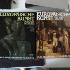 Arta europeana in sec XIX vol. I,II
