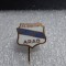 Insigna AS Olimpia Arad