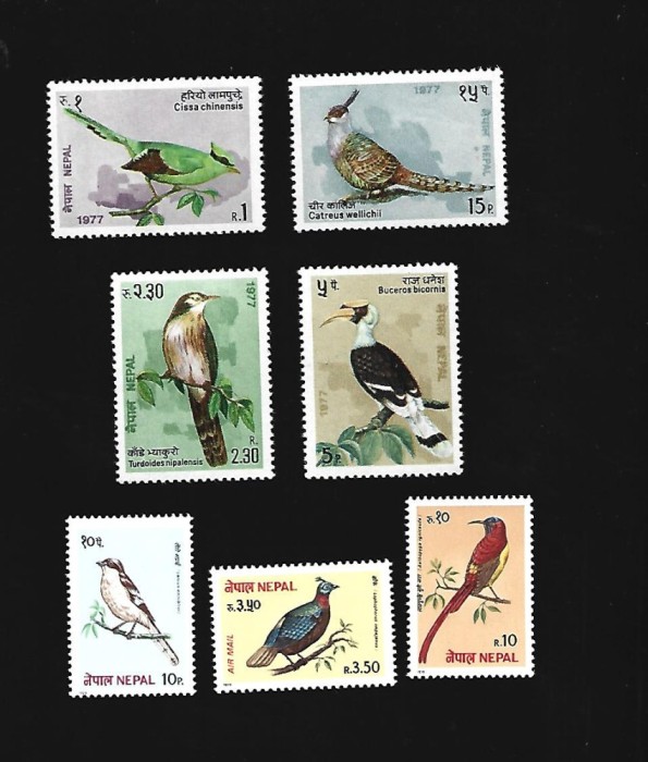 nepal pasari mnh