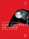 Cumpara ieftin Cum cucerești un &icirc;nger. Poeme erotice