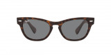 Ray-Ban Laramie Ochelari de Soare RB 2201 902/B1, Ray Ban