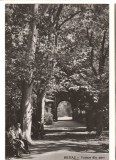 CPIB 15890 CARTE POSTALA - BUZIAS. VEDERE DIN PARC, RPR