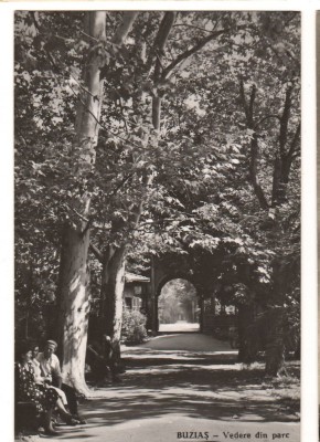 CPIB 15890 CARTE POSTALA - BUZIAS. VEDERE DIN PARC, RPR foto
