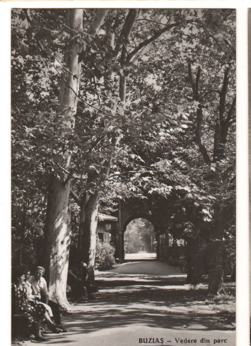 CPIB 15890 CARTE POSTALA - BUZIAS. VEDERE DIN PARC, RPR