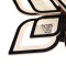 icon 5
