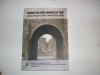 Romanii Din Afara Granitelor Tarii - Alexandru Zub, Editura Junimea, Istorie, 2011, Romana