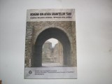 Romanii Din Afara Granitelor Tarii - Alexandru Zub, Editura Junimea, Istorie, 2011, Romana