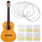Set 6 corzi pentru chitara clasica, nailon / argint