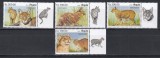 Angola 2019 - Pisica aurie din Africa, Serie cu Tapsuri pe Dreapta, MNH