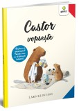 Castor vopseste | Lars Klinting