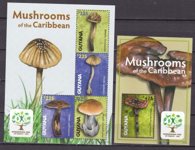 Guyana 2011 ciuperci MI 8228-8231 + bl. 843 MNH w55 foto