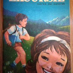 IN EXCURSIE - DUMITRU RISTEA - carte de colorat pentru copii