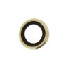 Geam Camera iPhone 6 Plus / 6S Plus Gold - Sticla Protectie Obiectiv Foto