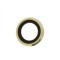Geam Camera iPhone 6 Plus, 6s Plus, Gold