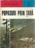 Popasuri prin tara - Victor Tufescu