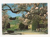 FG3 - Carte Postala - GERMANIA - Stuttgart-Bad cannstatt, necirculata
