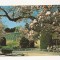 FG3 - Carte Postala - GERMANIA - Stuttgart-Bad cannstatt, necirculata