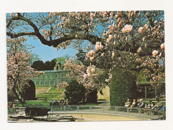 FG3 - Carte Postala - GERMANIA - Stuttgart-Bad cannstatt, necirculata