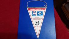 fanion Dinamo - Hamburg SV foto