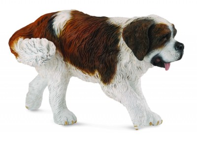 Saint bernard - Collecta foto
