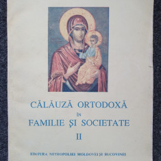 CALAUZA ORTODOXA IN FAMILIE SI SOCIETATE - Ioanichie Balan (vol. 2)
