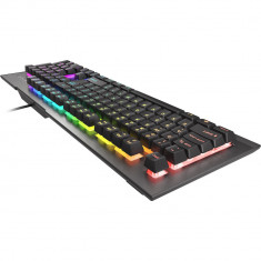 Tastatura Genesis Rhod 500 RGB foto
