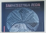 SARMIZEGETUSA REGIA , CROMATICA SI DECOR IN ANTICHITATEA DACICA de RAZVAN MATEESCU si GABRIELA GHEORGHIU , 2015 * CATALOG DE EXPOZITIE