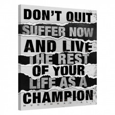 Tablou Canvas, Tablofy, Don&amp;#039;t Quit, Printat Digital, 50 &times; 70 cm