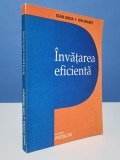 Invatarea eficienta - Ioan Jinga, Ion Negret