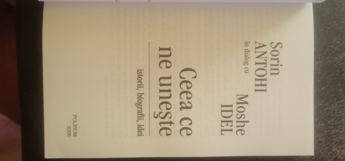 Sorin Antohi, Moshe Idel - Ceea ce ne unește. Istorii, biografii, idei (dialog)