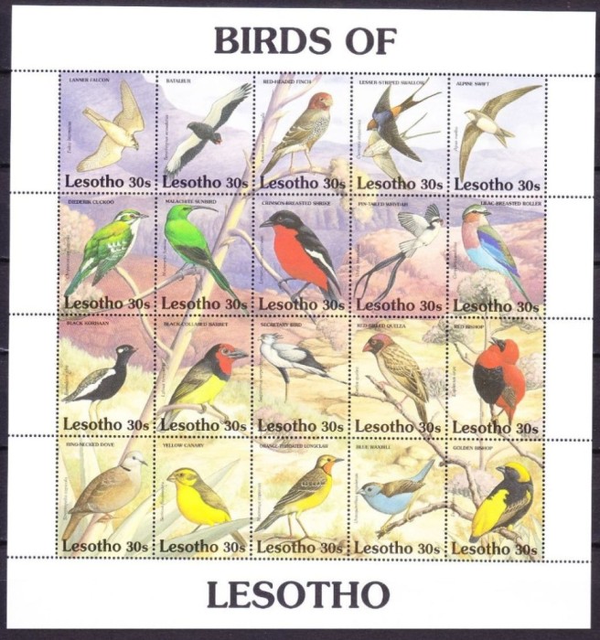 LESOTHO 1992 FAUNA PASARI