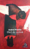 Efect de cortină - Paperback brosat - Andrei Pintilie - Charmides
