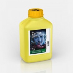 Cauti Piatra Vanata 1kg Sulfat De Cupru Zeama Bordeleza Insecticide Pomi Vita De Vie Plante Ierbicide Var Pomi Fructiferi Solutie Stropit Vita De Vie Pomi Vezi Oferta Pe Okazii Ro