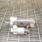 Electromotor MERCEDES-BENZ C Coupe C204 2012 OEM: 0001139043,A6519062400 10016380