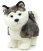 Jucarie Plus Caine Husky 23cm Nat Geo, Baieti/Fete, 0-12 Ani, Multicolor, Poliester, Animale, Ideal Cadou