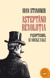 Aștept&acirc;nd revoluția. Pașoptismul și vocile sale (ebook) - Ioan Stanomir - Editura LibHumanitas