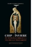 Chip si inviere in teologia biblica a Vechiului Testament - Florian Marian Simonca