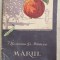 Marul - T. Bordeianu