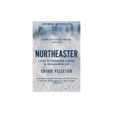 Northeaster: A Story of Courage and Survival in the Blizzard of 1952