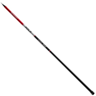 Varga BRAIN Classic Pole, 4.00m, 4seg foto