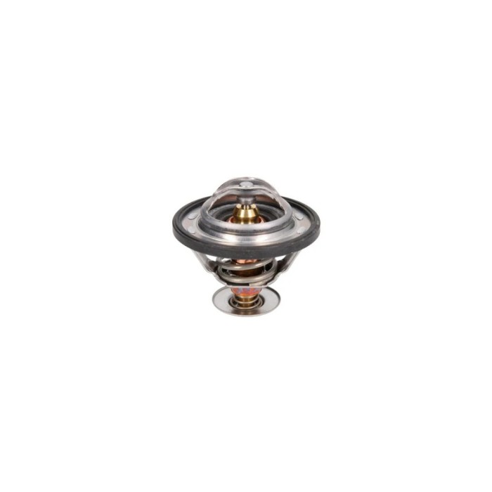 Termostat lichid racire LEXUS IS I JCE1 GXE1 BEHR TX7382D