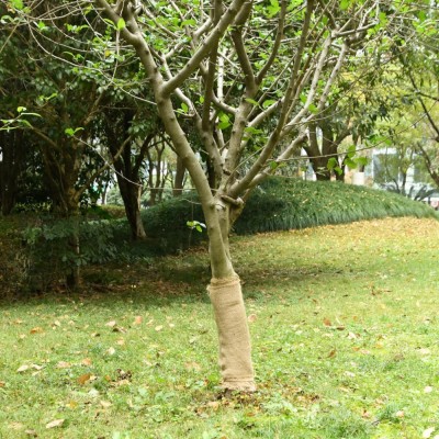 vidaXL Rulou de iută, 0,5x10 m, iută 100%, 200 g/m&amp;sup2; foto