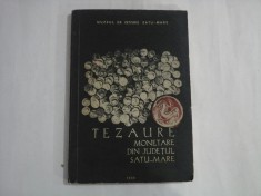 TEZAURE - MONETARE DIN JUDETUL SATU-MARE - SCHRIFTLEITER - MUZEUL DE ISTORIE SATU-MARE