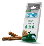 Farmina Vet Life dog Obesity medium &amp;amp; maxi 100 g