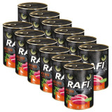 Cumpara ieftin Rafi Cat Adult Pat&eacute; with Duck 12 x 400 g