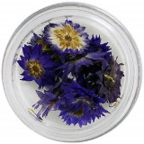Flori uscate &ndash; violet, INGINAILS