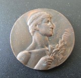Medalie gimnastica B.S.E. 1928, 30 mm